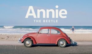 Meet Annie The Beetle