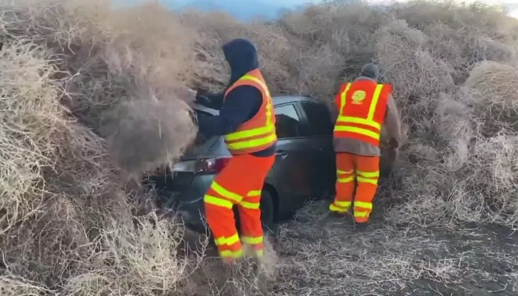 Latest Score From Washington – Tumbleweeds 1, Cars 0